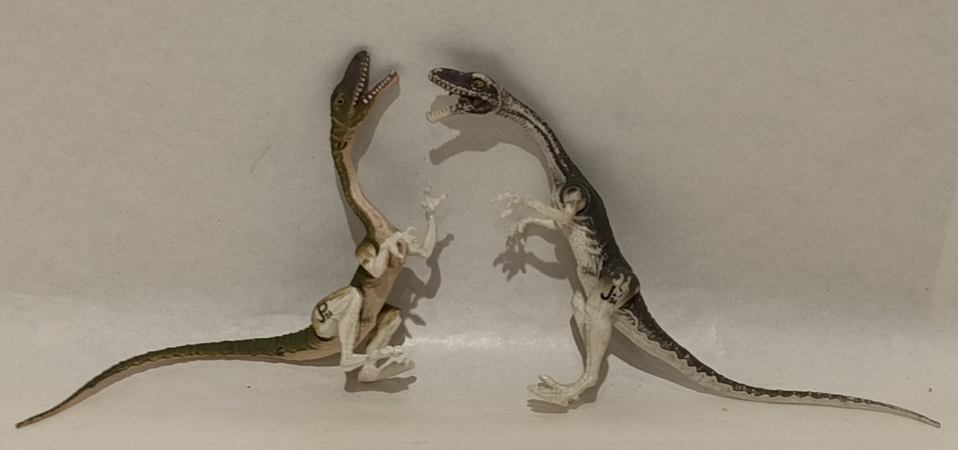 Coelophysis JP04 – Jurassic Park