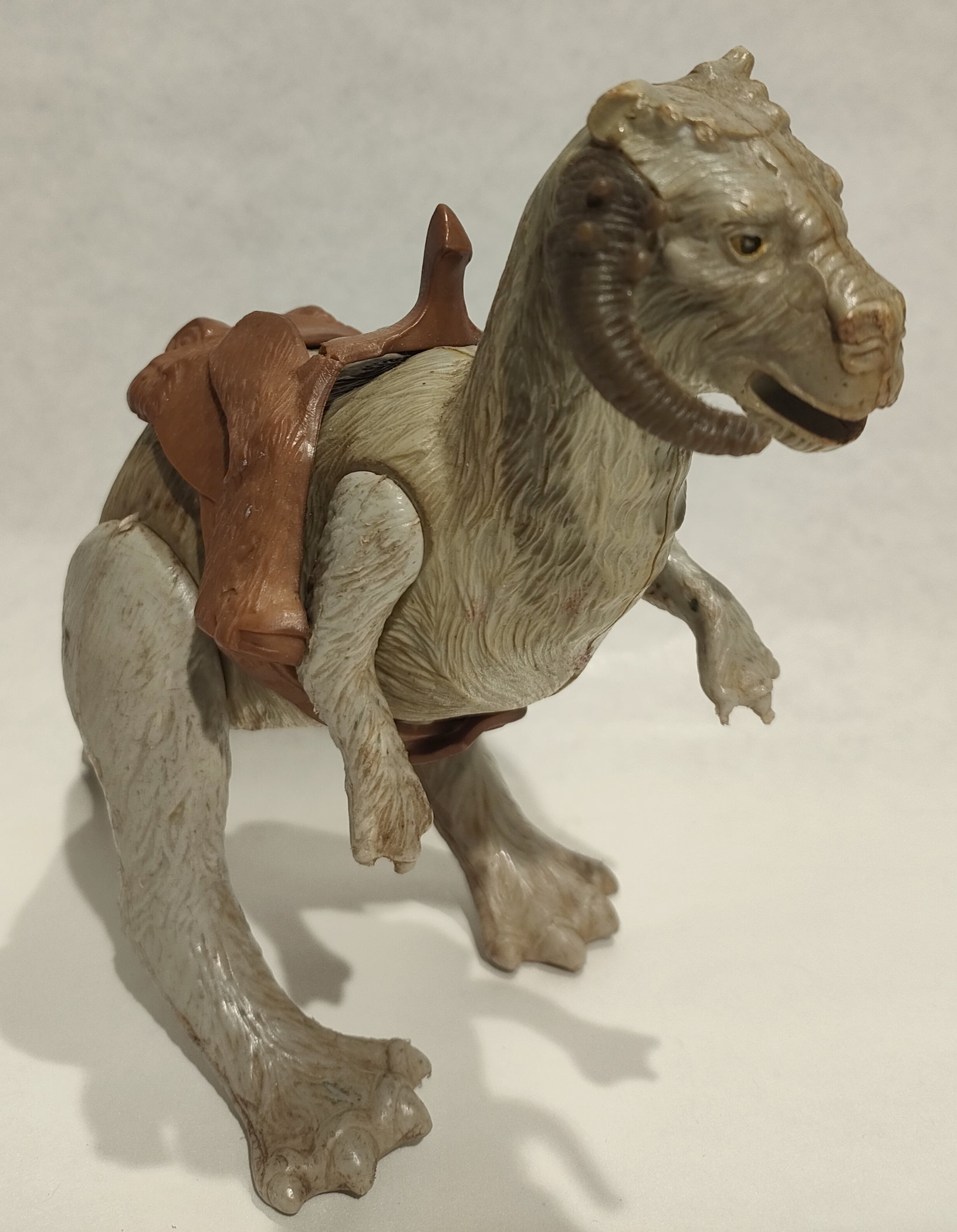 Lizard