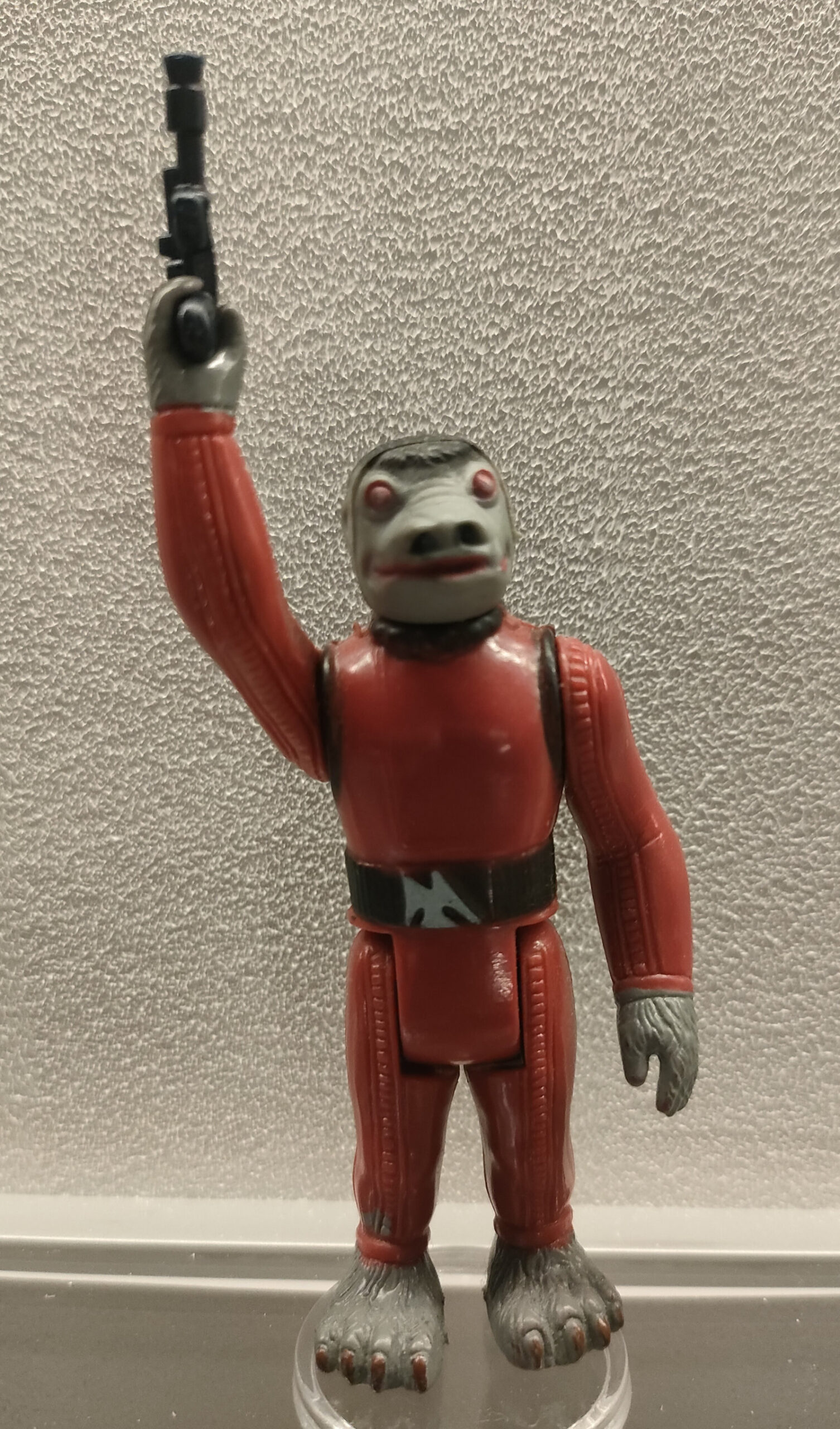 Red Snaggletooth – Divisa Rossa