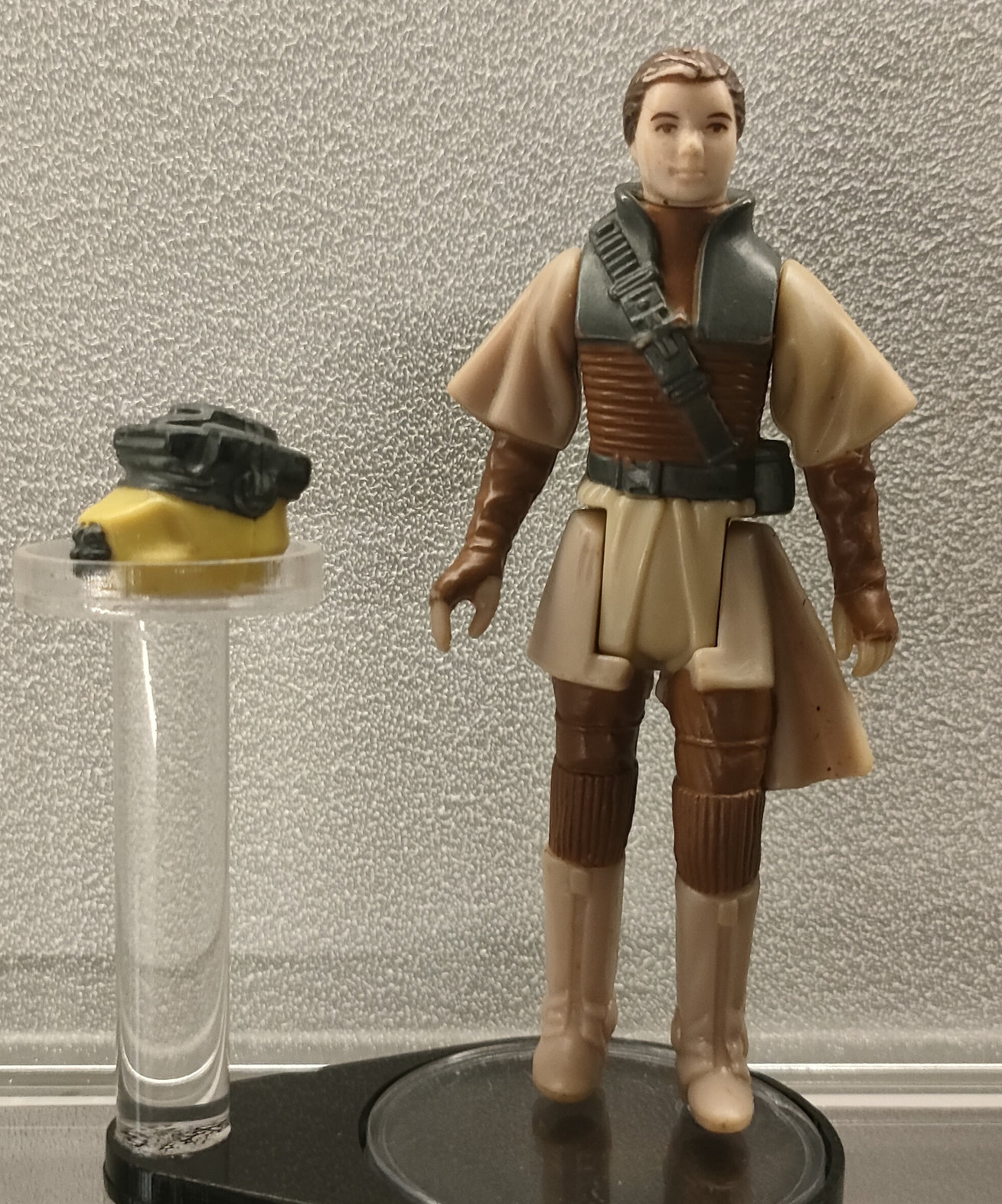 Principessa Leia Organa – Travestimento Boushh