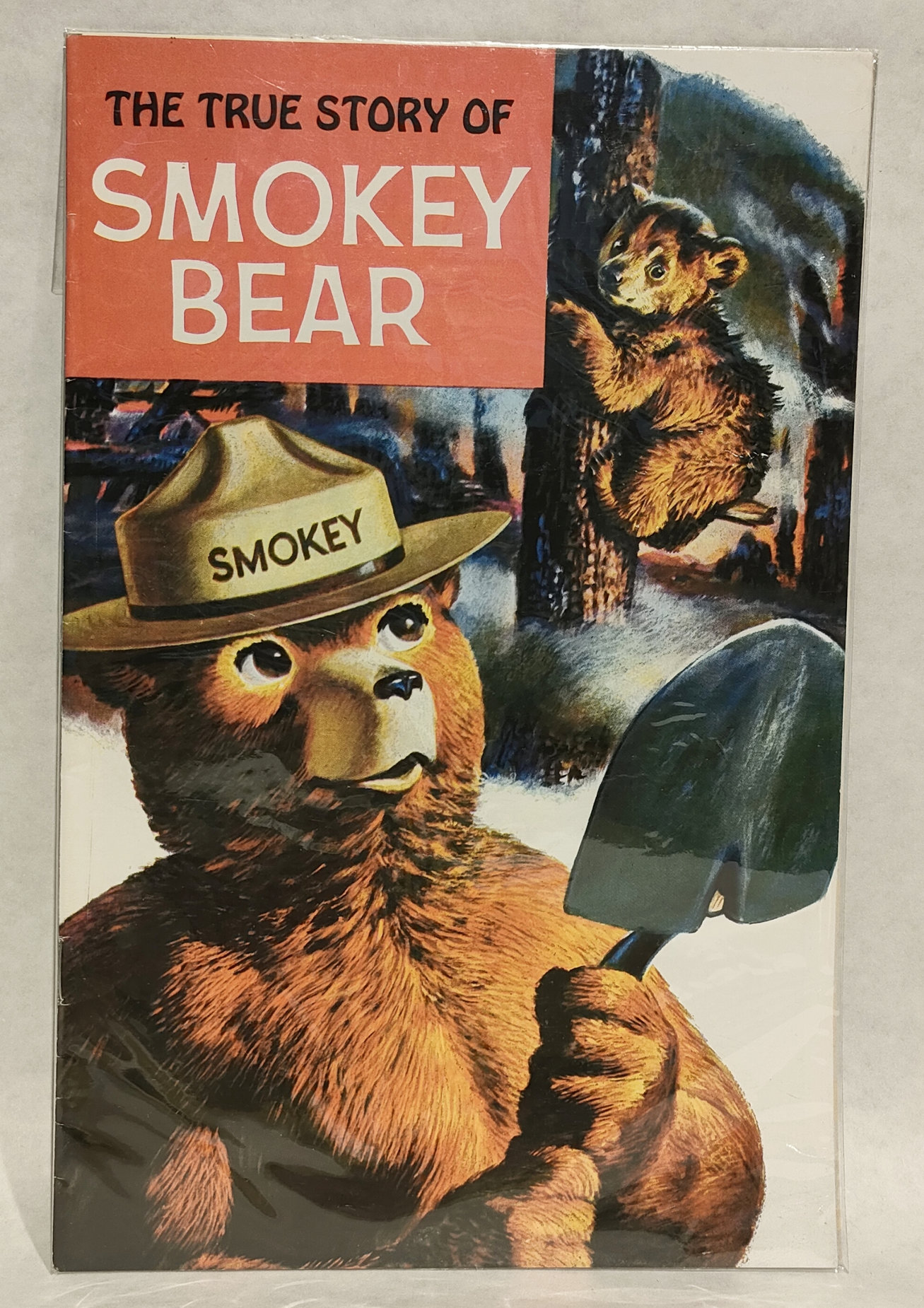Fumetto “Smokey Bear”
